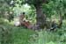Ekallon2006 (163)
