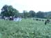 Ekallon2006 (218)