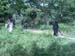 Ekallon2006 (225)