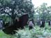 Ekallon2006 (233)
