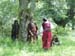 Ekallon2006 (94)